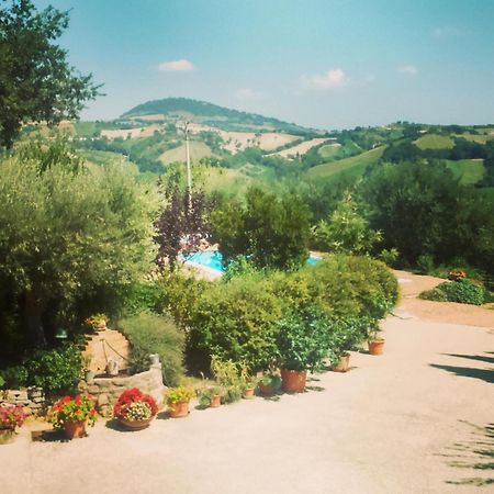 Casale Il Cerqueto Bed & Breakfast San Severino Marche Oda fotoğraf