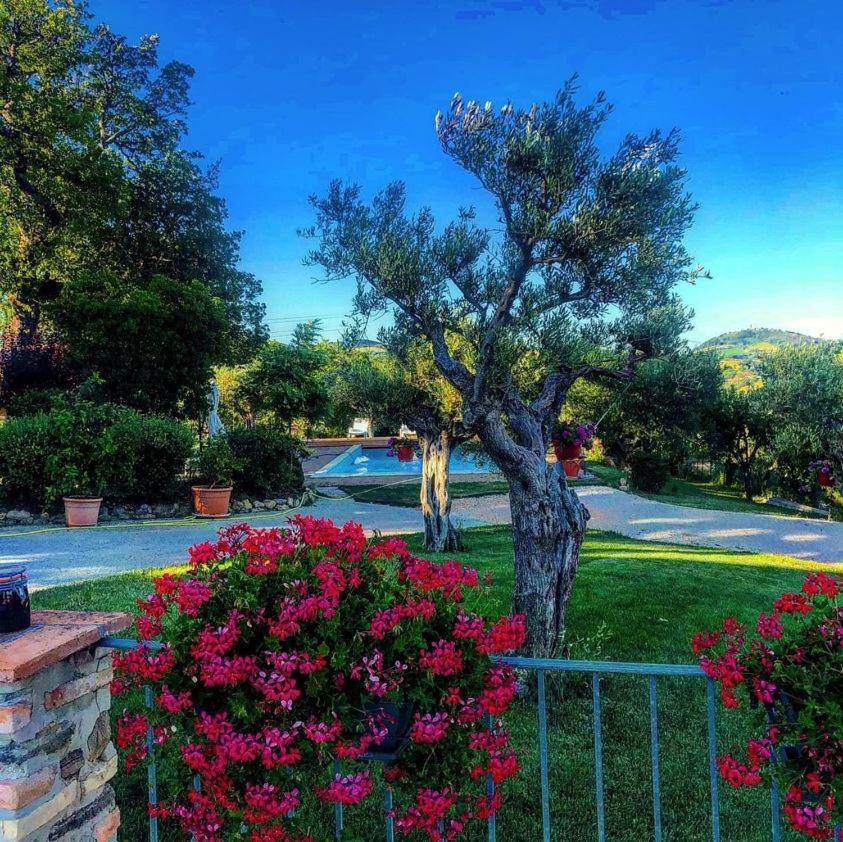 Casale Il Cerqueto Bed & Breakfast San Severino Marche Dış mekan fotoğraf