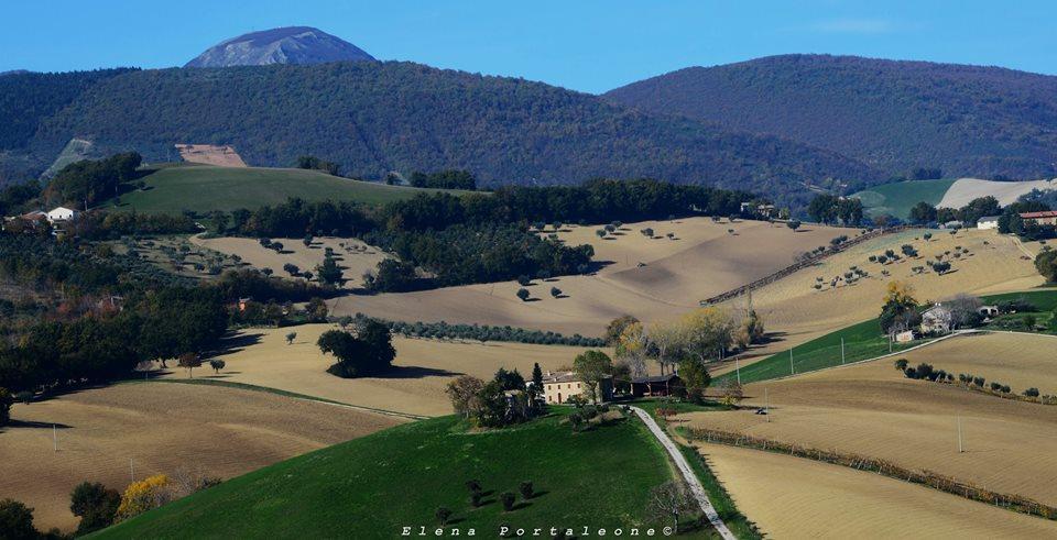 Casale Il Cerqueto Bed & Breakfast San Severino Marche Dış mekan fotoğraf