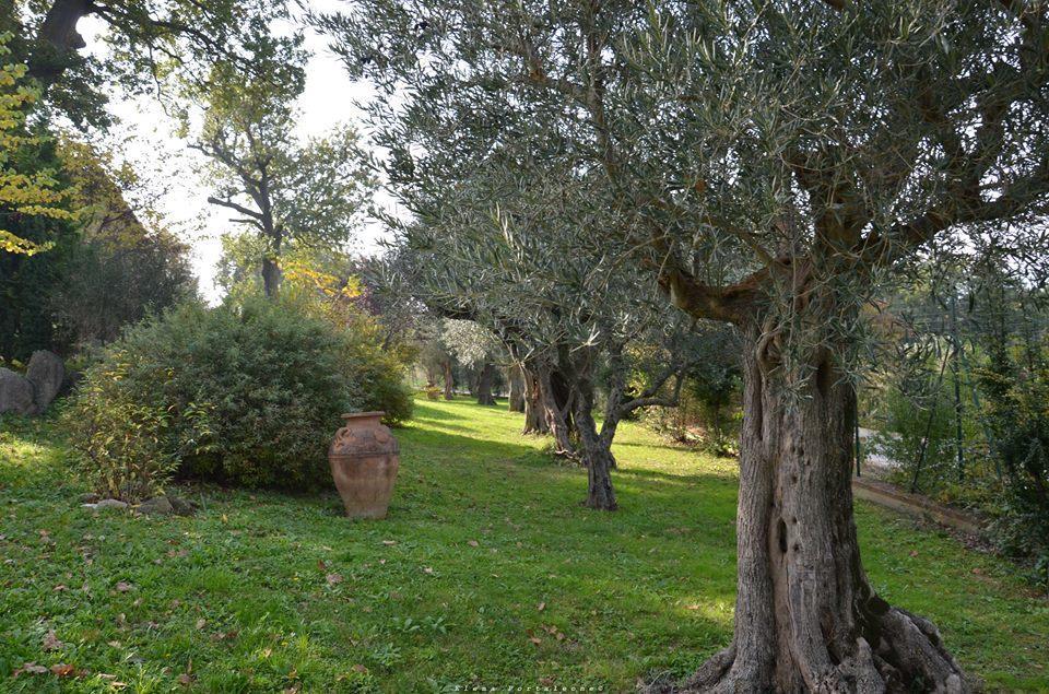 Casale Il Cerqueto Bed & Breakfast San Severino Marche Dış mekan fotoğraf