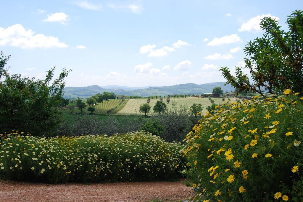 Casale Il Cerqueto Bed & Breakfast San Severino Marche Dış mekan fotoğraf