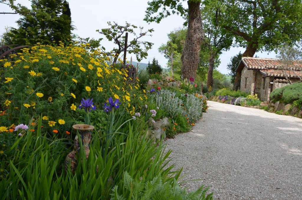 Casale Il Cerqueto Bed & Breakfast San Severino Marche Dış mekan fotoğraf