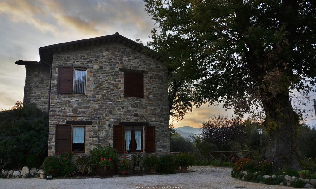 Casale Il Cerqueto Bed & Breakfast San Severino Marche Dış mekan fotoğraf