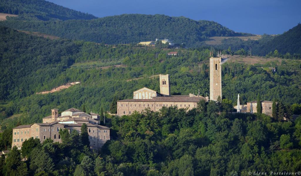 Casale Il Cerqueto Bed & Breakfast San Severino Marche Dış mekan fotoğraf