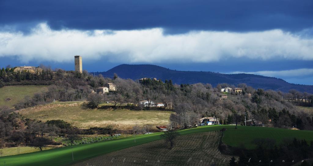 Casale Il Cerqueto Bed & Breakfast San Severino Marche Dış mekan fotoğraf
