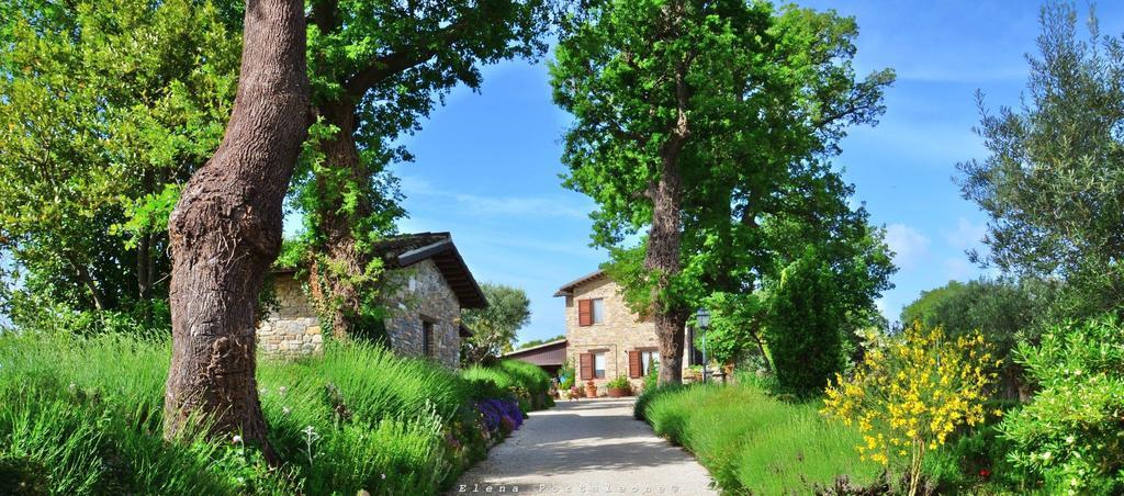 Casale Il Cerqueto Bed & Breakfast San Severino Marche Dış mekan fotoğraf