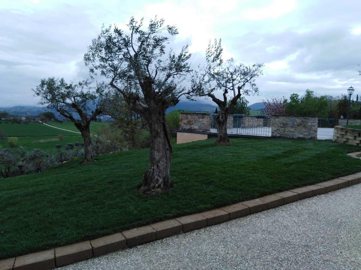 Casale Il Cerqueto Bed & Breakfast San Severino Marche Dış mekan fotoğraf